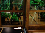 maaaya19̗ف@c̓eʐ^5