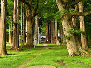 ҂̐VCOА_Ё@@̓eʐ^2