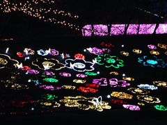 ݌΃][g vW[tHXg̎ʐ^1