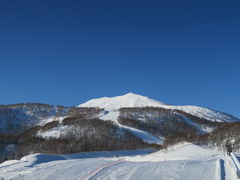 cq̃jZRHANAZONO][gւ̓eʐ^1