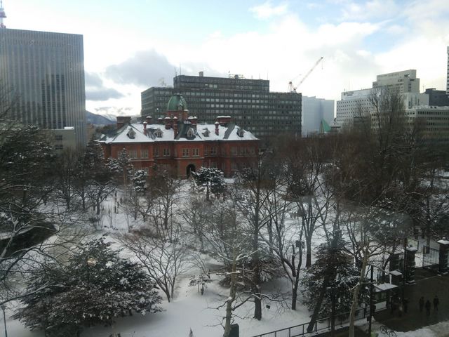 �~�̋��k�C����_�k�C�������{����(�Ԃ�񂪒���)