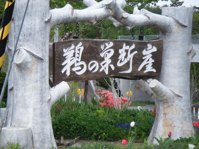 �L�̑��f�R_�L�̑��f�R