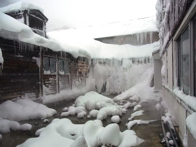 MŐ͏Ȃ邯ǁA̔NłI__