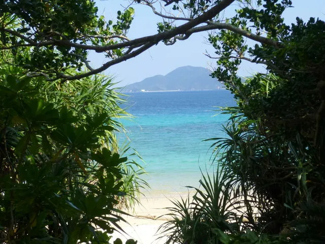 加計呂麻島 ビーチ 奄美大島