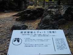 のび太の妻さんの佐川地質館の投稿写真2