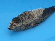 noritamãmVbvق̓eʐ^1