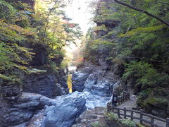 񂳂̖ʉ͌kւ̓eʐ^1