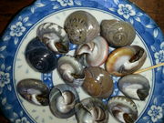 NNДN̕l ܂傤̓eʐ^1