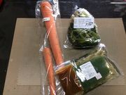 neko܂̓̉w ba̓eʐ^2