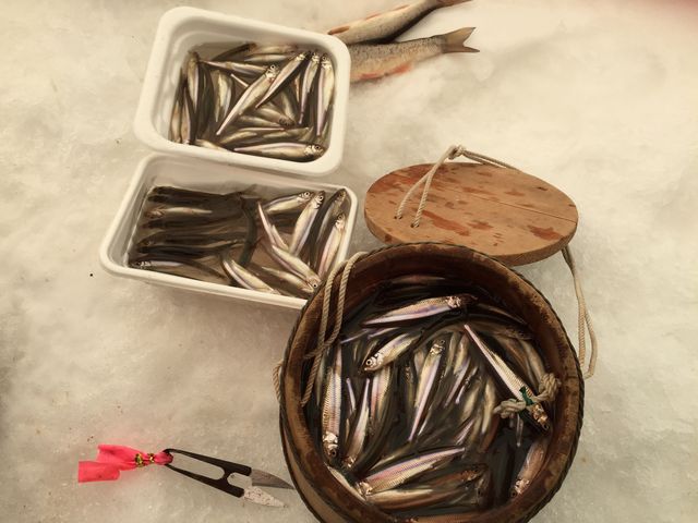 �ʂ��т�΂̃��J�T�M�����務�I�I�I_�ʂ��т猹��