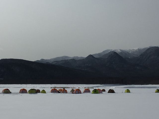 ���J�T�M�ނ�̃e���g�������ς��ł��I�I�݂�Ȋy����ł��܂��I�I_�ʂ��т猹��