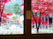 ӂ݂̃jbJ{bJ[Y̑ꉷ Vق̓eʐ^2