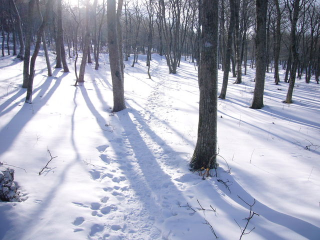 �ؘR���_�K��x