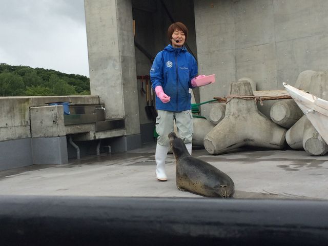 �V���[�̂��o����b�����_���R������