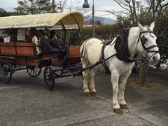 }[̊όҔnԂւ̓eʐ^1