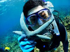 DIVE LIFE OKINAWA̎ʐ^2