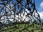 dij����̓ދ`��������p�ق̓��e�ʐ^2