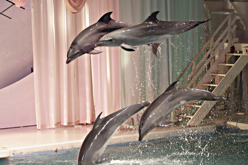 京急油壷マリンパーク