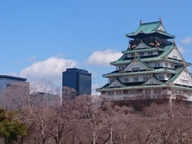 ���鐼�̊ے뉀