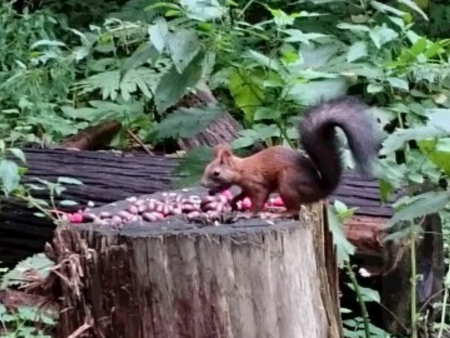 �~�R����