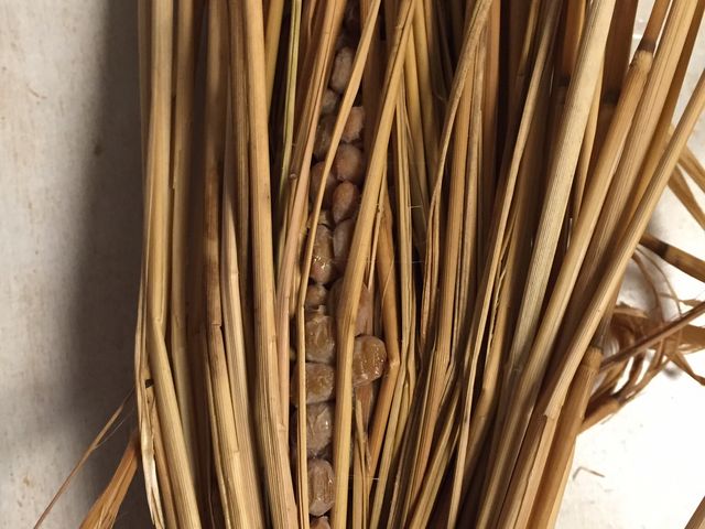 ���˓V��[���i���j�����ܘY���X