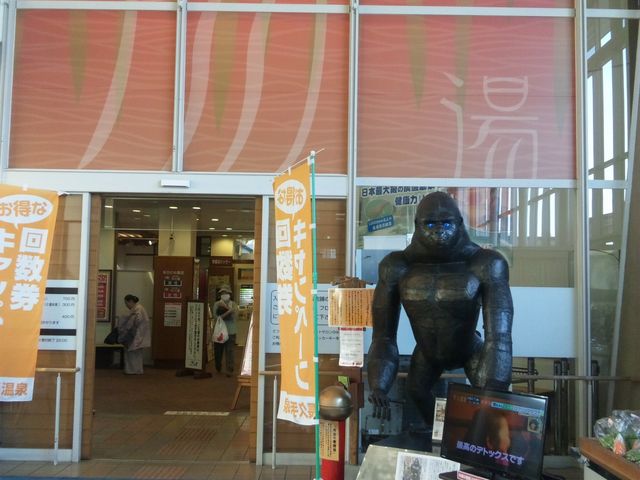 �C�P�����S�����w�S�U���[�j�x_���v�艷�򂲂������