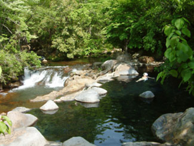 �Y��ȘI�V���C�ł�_���쉷��
