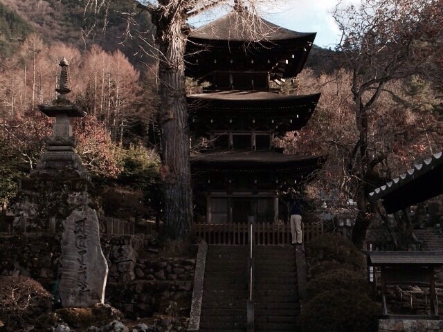 �ʏ�����߂��̂���_�ʏ�����