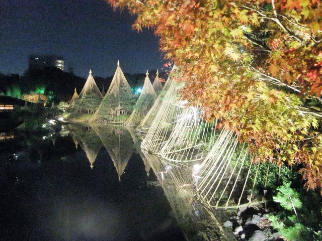 ������̒��߂��f���炵������_�����뉀