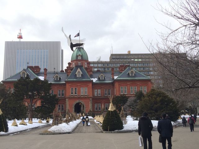 �k�C�������{����(�Ԃ�񂪒���)