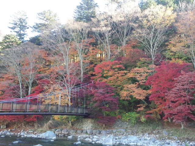 �������̌���