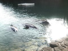 太地くじら浜公園の写真一覧 - じゃらんnet