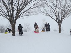 やゆたんさんの国営越後丘陵公園【スキー場】への投稿写真1