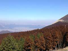 ���痢�W�]���̎ʐ^2