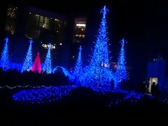 񂳂̎VITCgւ̓eʐ^1