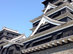 �F�{��̎ʐ^1