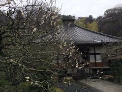 lssah����̌������ւ̓��e�ʐ^1