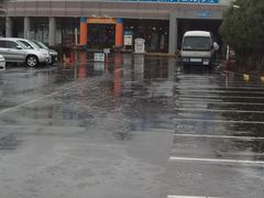 䂫񂳂̈ɓ̍pm}p[N@ɓ̏{ʃoCLOւ̓eʐ^1