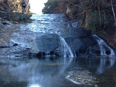 �����̑�̎ʐ^1