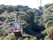 hirari̊⍑郍[vEG[̓eʐ^1