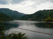 atrai8131̑ꔨ_̓eʐ^1