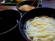 ЂЂ낳̂߂ t{X̓eʐ^1