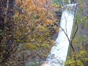 ߋT|~̂k̍gt̓eʐ^5