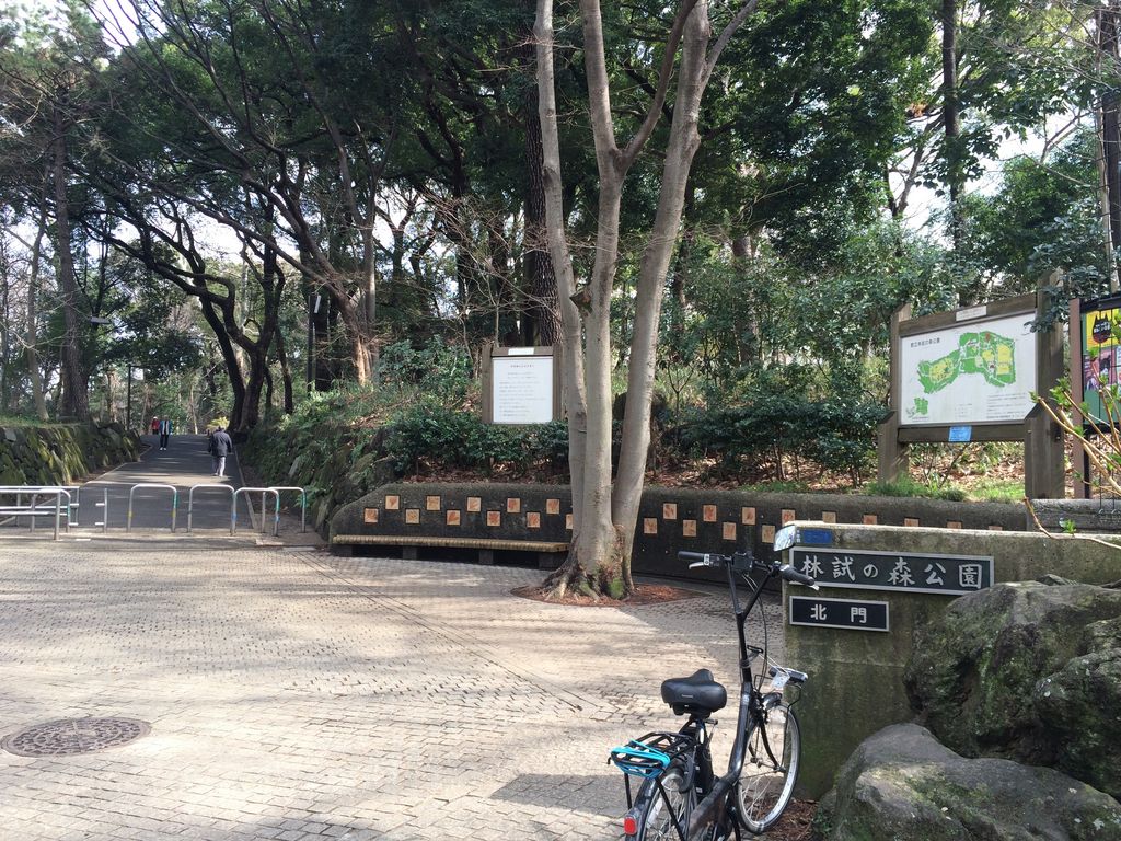 都立林試の森公園