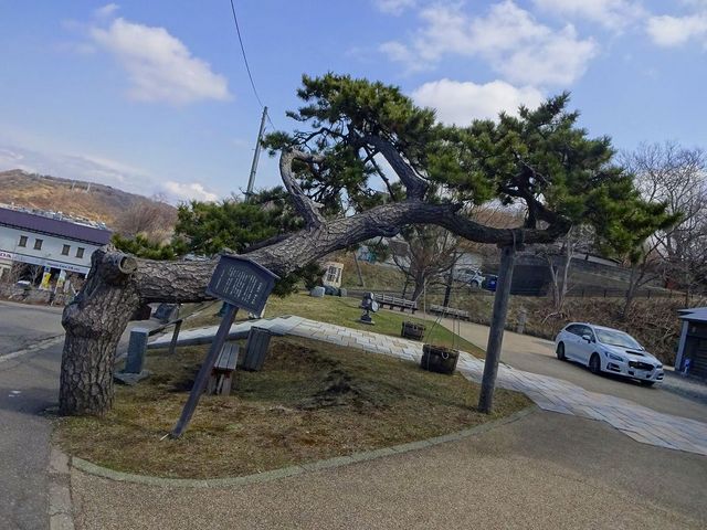 �J�z�ۍ��ʎ��̈�b���c��u�Q���̏��v�ł��B_���w�R���u�S����