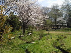 komo����̈��Βn�����ւ̓��e�ʐ^1