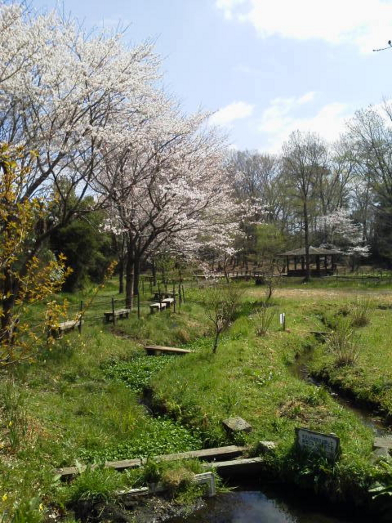 上三川町 河内郡 の公園 庭園ランキングtop2 じゃらんnet