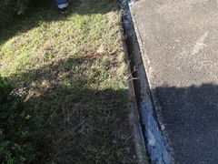 ܂̓̕􉷐OEړւ̓eʐ^2