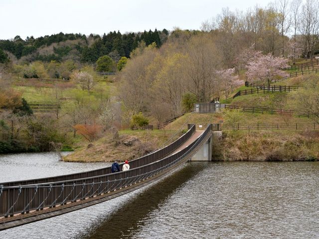 大分農業文化公園 アクセス 営業時間 料金情報 じゃらんnet