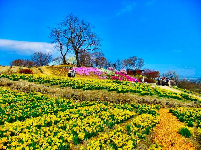 ̂̐MBۉỹXCZ̓eʐ^1